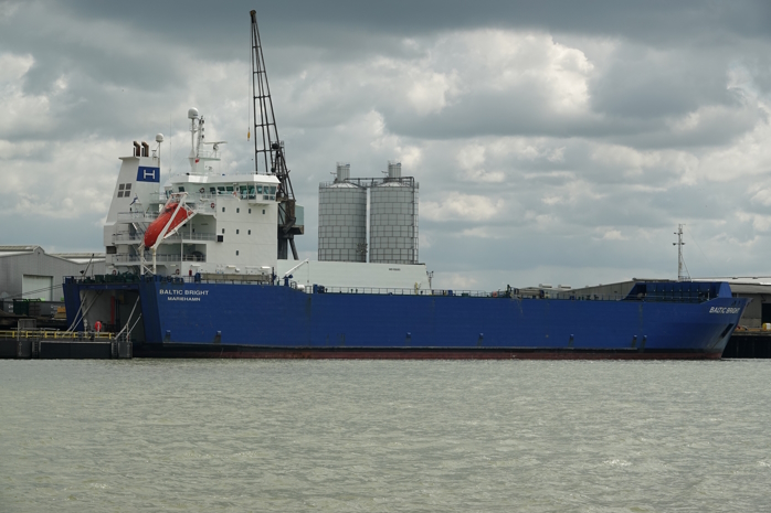 Baltic Bright