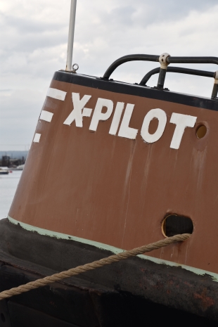 X-Pilot