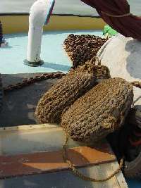 Greta rope fenders
