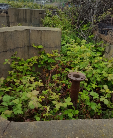 Gun Site