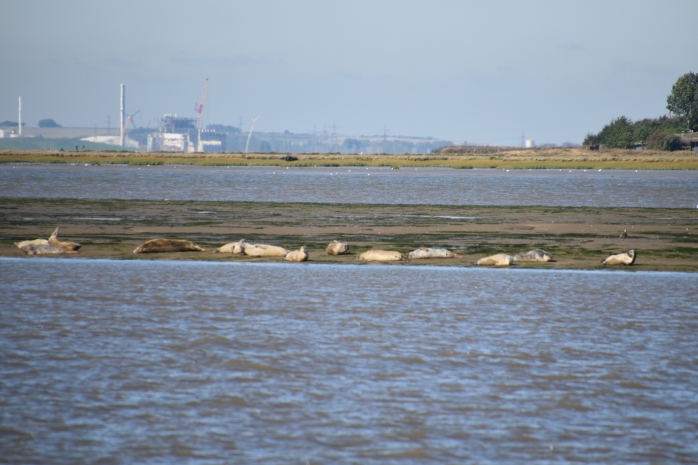 Seal Bank